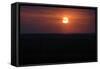 Sunset, Texas State, United States-null-Framed Stretched Canvas