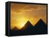 Sunset, the Pyramids, Giza, Unesco World Heritage Site, Cairo, Egypt, North Africa, Africa-John Ross-Framed Stretched Canvas