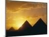 Sunset, the Pyramids, Giza, Unesco World Heritage Site, Cairo, Egypt, North Africa, Africa-John Ross-Mounted Photographic Print