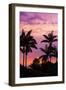 Sunset through silhouetted palm trees, Kona Coast, The Big Island, Hawaii, USA-Russ Bishop-Framed Photographic Print