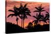 Sunset Through Silhouetted Palm Trees, Kona Coast, the Big Island, Hawaii-Russ Bishop-Stretched Canvas