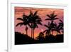 Sunset Through Silhouetted Palm Trees, Kona Coast, the Big Island, Hawaii-Russ Bishop-Framed Photographic Print