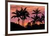 Sunset Through Silhouetted Palm Trees, Kona Coast, the Big Island, Hawaii-Russ Bishop-Framed Photographic Print