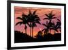 Sunset Through Silhouetted Palm Trees, Kona Coast, the Big Island, Hawaii-Russ Bishop-Framed Photographic Print