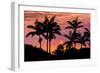 Sunset Through Silhouetted Palm Trees, Kona Coast, the Big Island, Hawaii-Russ Bishop-Framed Photographic Print