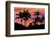 Sunset Through Silhouetted Palm Trees, Kona Coast, the Big Island, Hawaii-Russ Bishop-Framed Photographic Print