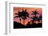 Sunset Through Silhouetted Palm Trees, Kona Coast, the Big Island, Hawaii-Russ Bishop-Framed Photographic Print