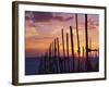 Sunset Through the Vines of the Italian Wine Country, Tuscany, Italy-Janis Miglavs-Framed Photographic Print