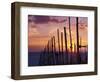 Sunset Through the Vines of the Italian Wine Country, Tuscany, Italy-Janis Miglavs-Framed Photographic Print