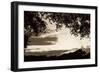 Sunset Through Trees Sepia II-Alan Hausenflock-Framed Photographic Print