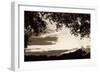 Sunset Through Trees Sepia II-Alan Hausenflock-Framed Photographic Print