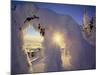 Sunset Thru the Snowghosts, Big Mountain, Whitefish, Montana, USA-Chuck Haney-Mounted Photographic Print