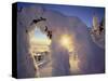 Sunset Thru the Snowghosts, Big Mountain, Whitefish, Montana, USA-Chuck Haney-Stretched Canvas