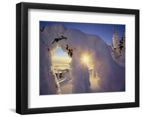 Sunset Thru the Snowghosts, Big Mountain, Whitefish, Montana, USA-Chuck Haney-Framed Photographic Print