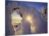 Sunset Thru the Snowghosts, Big Mountain, Whitefish, Montana, USA-Chuck Haney-Stretched Canvas