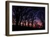 Sunset Tree Silhouettes, Mount Diablo-Vincent James-Framed Photographic Print