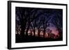 Sunset Tree Silhouettes, Mount Diablo-Vincent James-Framed Photographic Print