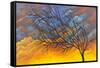 Sunset Tree-Michelle Faber-Framed Stretched Canvas