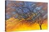 Sunset Tree-Michelle Faber-Stretched Canvas