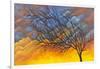 Sunset Tree-Michelle Faber-Framed Giclee Print