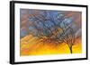 Sunset Tree-Michelle Faber-Framed Giclee Print