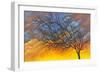 Sunset Tree-Michelle Faber-Framed Giclee Print