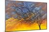Sunset Tree-Michelle Faber-Mounted Giclee Print