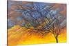 Sunset Tree-Michelle Faber-Stretched Canvas