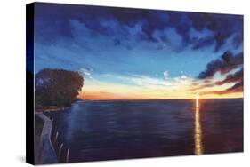 Sunset Tropics-Tim O'toole-Stretched Canvas