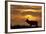 Sunset, Tule Elk Wildlife, Point Reyes National Seashore, California, USA-Gerry Reynolds-Framed Photographic Print