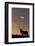 Sunset, Tule Elk Wildlife, Point Reyes National Seashore, California, USA-Gerry Reynolds-Framed Photographic Print