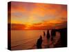 Sunset, Twelve Apostles, Port Campbell National Park, Great Ocean Road, Victoria, Australia-David Wall-Stretched Canvas