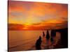 Sunset, Twelve Apostles, Port Campbell National Park, Great Ocean Road, Victoria, Australia-David Wall-Stretched Canvas