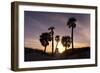 Sunset View, Clearwater Beach, Florida-George Oze-Framed Photographic Print