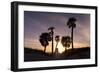 Sunset View, Clearwater Beach, Florida-George Oze-Framed Photographic Print