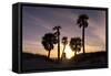 Sunset View, Clearwater Beach, Florida-George Oze-Framed Stretched Canvas