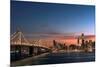 Sunset view of San Francisco from Treasure Island of the Bay Bridge with pink clouds at blue hour-David Chang-Mounted Photographic Print