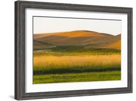 Sunset view of wheat field, Palouse, Washington State, USA-Keren Su-Framed Photographic Print