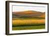 Sunset view of wheat field, Palouse, Washington State, USA-Keren Su-Framed Photographic Print