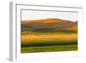 Sunset view of wheat field, Palouse, Washington State, USA-Keren Su-Framed Photographic Print