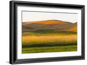 Sunset view of wheat field, Palouse, Washington State, USA-Keren Su-Framed Photographic Print