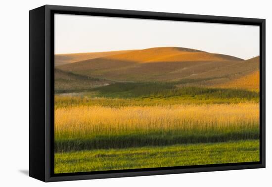 Sunset view of wheat field, Palouse, Washington State, USA-Keren Su-Framed Stretched Canvas