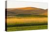 Sunset view of wheat field, Palouse, Washington State, USA-Keren Su-Stretched Canvas