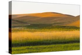 Sunset view of wheat field, Palouse, Washington State, USA-Keren Su-Stretched Canvas