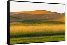 Sunset view of wheat field, Palouse, Washington State, USA-Keren Su-Framed Stretched Canvas