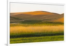 Sunset view of wheat field, Palouse, Washington State, USA-Keren Su-Framed Photographic Print