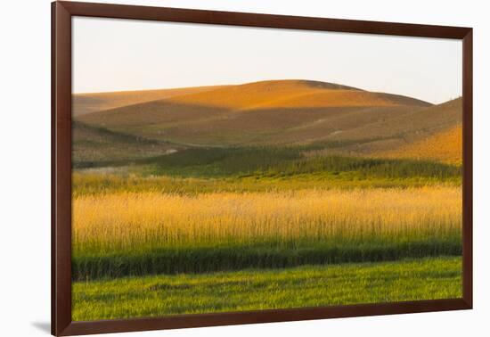 Sunset view of wheat field, Palouse, Washington State, USA-Keren Su-Framed Photographic Print