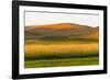 Sunset view of wheat field, Palouse, Washington State, USA-Keren Su-Framed Photographic Print