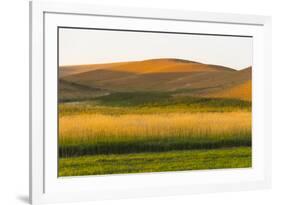 Sunset view of wheat field, Palouse, Washington State, USA-Keren Su-Framed Photographic Print