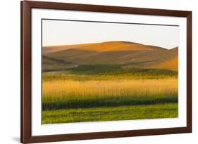 Sunset view of wheat field, Palouse, Washington State, USA-Keren Su-Framed Photographic Print